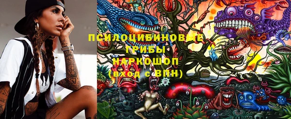 сатива Зерноград