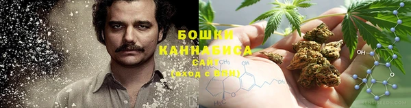 сатива Зерноград